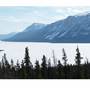 Tagish Lake May