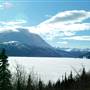 Tutshi Lake