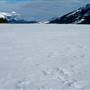 Tutshi Lake
