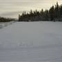 Yukon Forest Cabins
