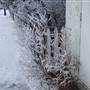 Whitehorse Winter Street Scenes