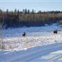Winter Farms