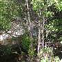 Wolf Creek Campground