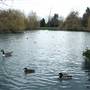 Priory Gardens