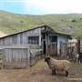 Slide Ranch