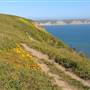 Drakes Bay Beach