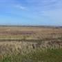 Thames Estuary Path