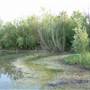 Bedfont Lakes Country Park