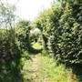 Hounslow Heath