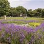 Turnham Green