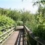 Bow Creek Ecology Park