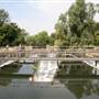 Dobbs Weir
