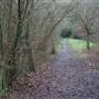 Arrandene Open Space