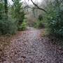 Arrandene Open Space