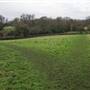 Arrandene Open Space