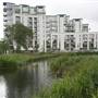 Heybourne Park Pond