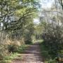 Scratchwood Nature Reserve