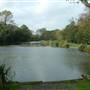 Totteridge Ponds