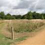 Welsh Harp Open Space