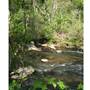 Ivy Creek Greenway