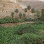 Dhee Ayn, Marble Village - ذي عين – القرية الرخامية 		