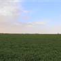 Green Circular Farms - Meegowa  - المزارع الدائرية الخضراء - ميقوع