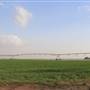 Green Circular Farms - Meegowa  - المزارع الدائرية الخضراء - ميقوع