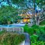 Treetops Novato