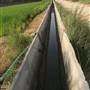 Peddy Crops & Palm Garden مزارع الرز والنخيل