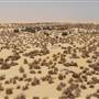 Ogair Ancient Port - ميناء العقير