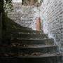 West Norwood Catacombs
