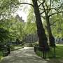 Lincoln's Inn Fields