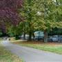 Friary Park