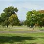 Brockwell Park