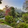 Trebah Gardens