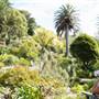 Tresco Island