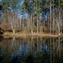T.W. Briscoe Park