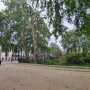 Fitzroy Square offices