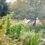 Lee Valley Almost Wild Campsite