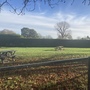 Alexandra recreation ground