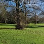 Crease Park