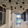 Modern Office Option