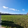 Colindale Gardens