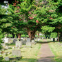 Borough Cemetery