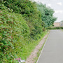 Borough Cemetery