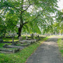 Isleworth Cemetery