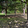 Southwark Park