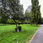 Downhills Park