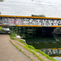 Reedham Close & River Lea