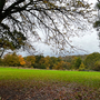 Bedfords Park
